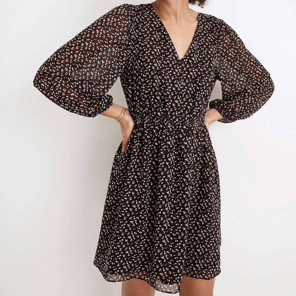 Madewell Georgette Button-Front Mini Dress in Adorable Ditsy Floral Sz M